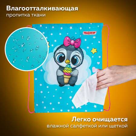 Сумка Пифагор