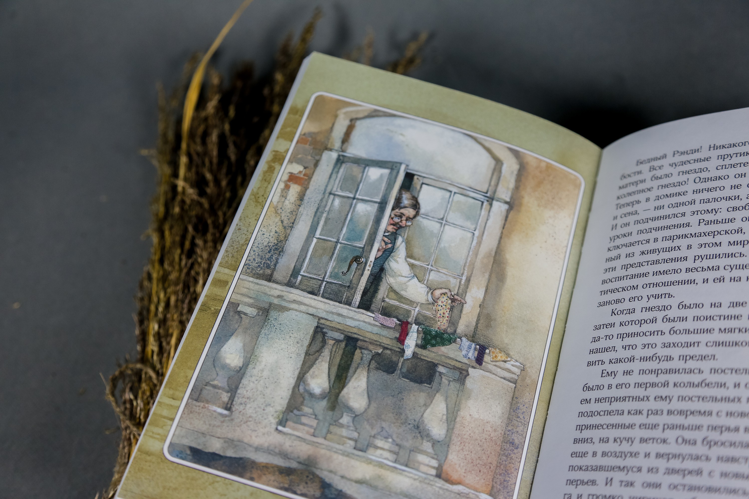 Книга Качели Королевская Аналостанка и другие рассказы - фото 8