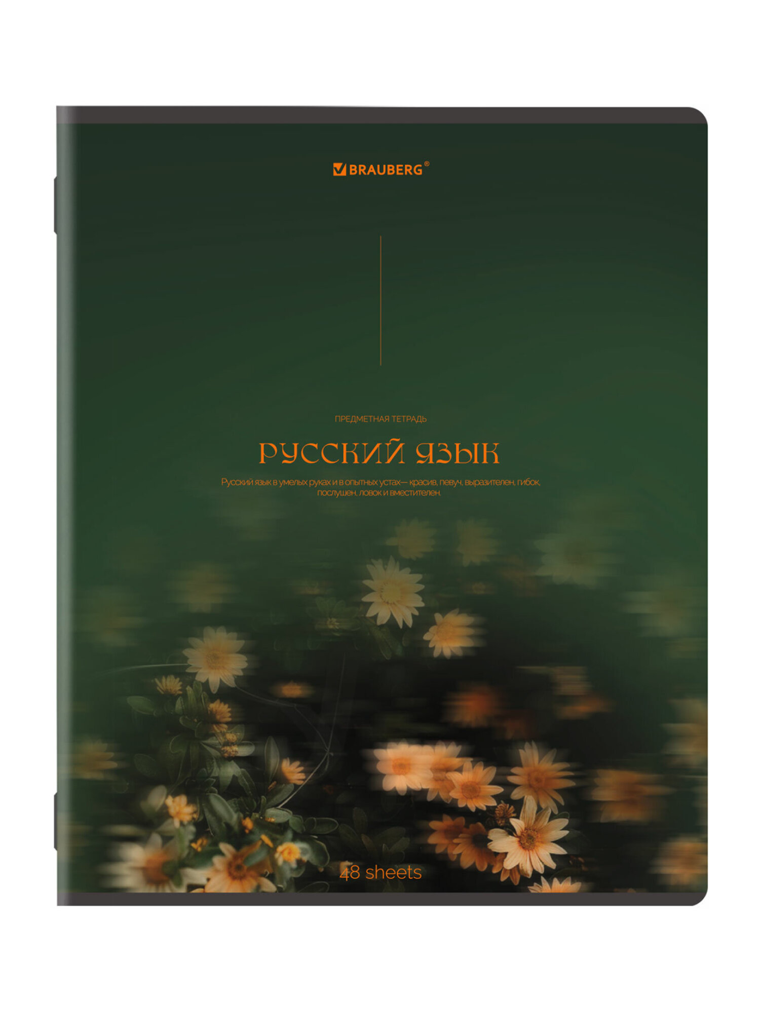 Тетрадь Brauberg 48 лист. 13 шт. - фото 20