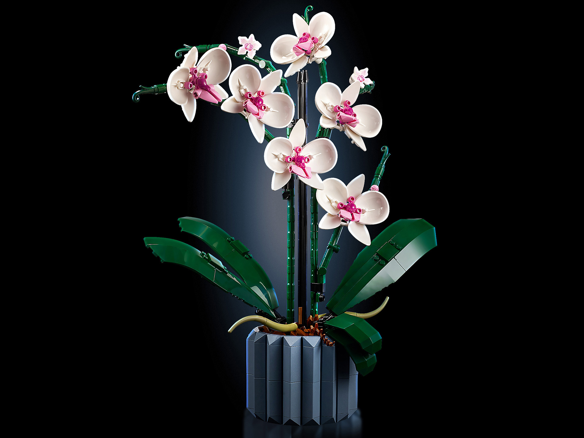 Конструктор LEGO Botanicals Орхидея в горшке 608 дет. - фото 6