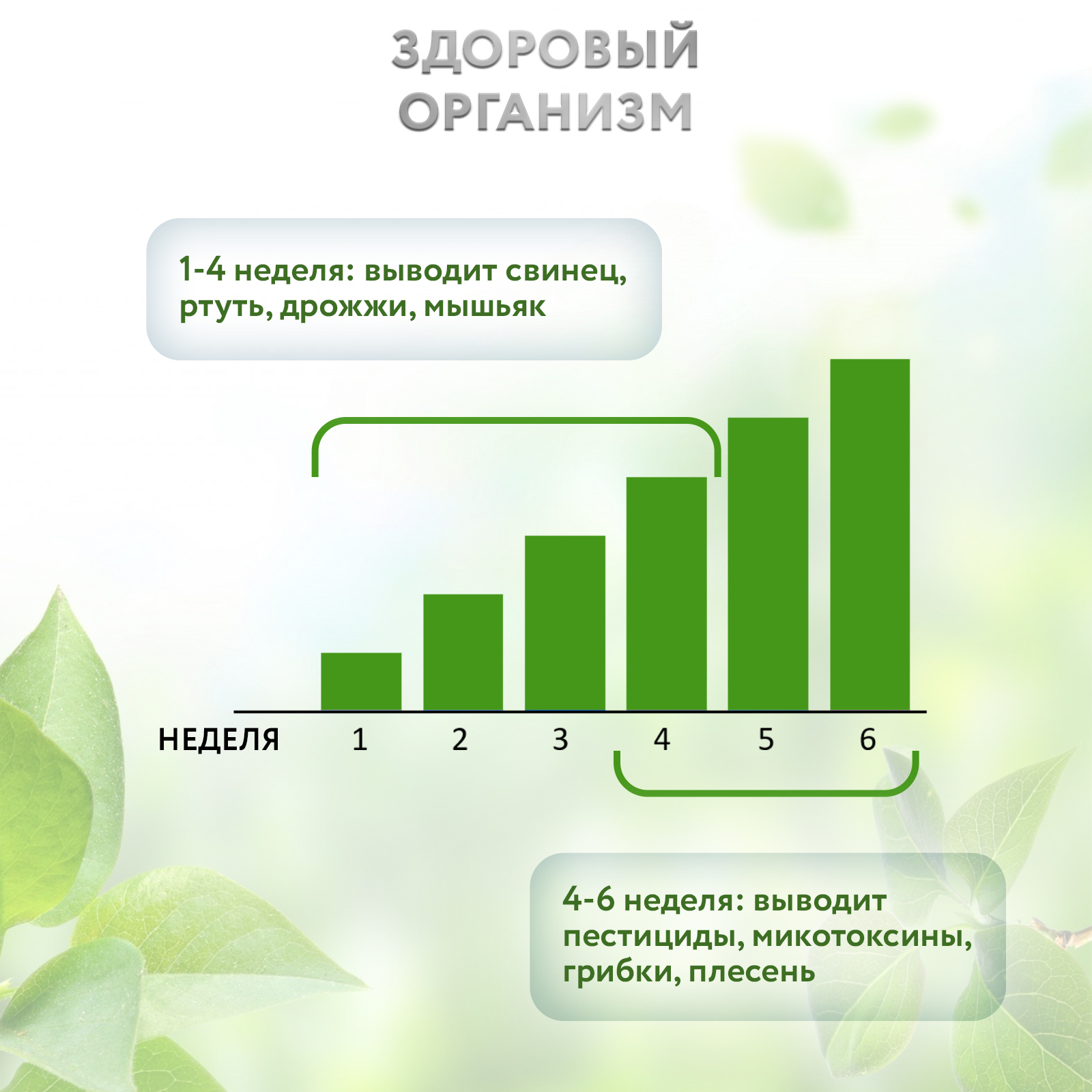 Цеолит сорбент пищевой природный Zeo Detox для детокса организма 200г. - фото 6