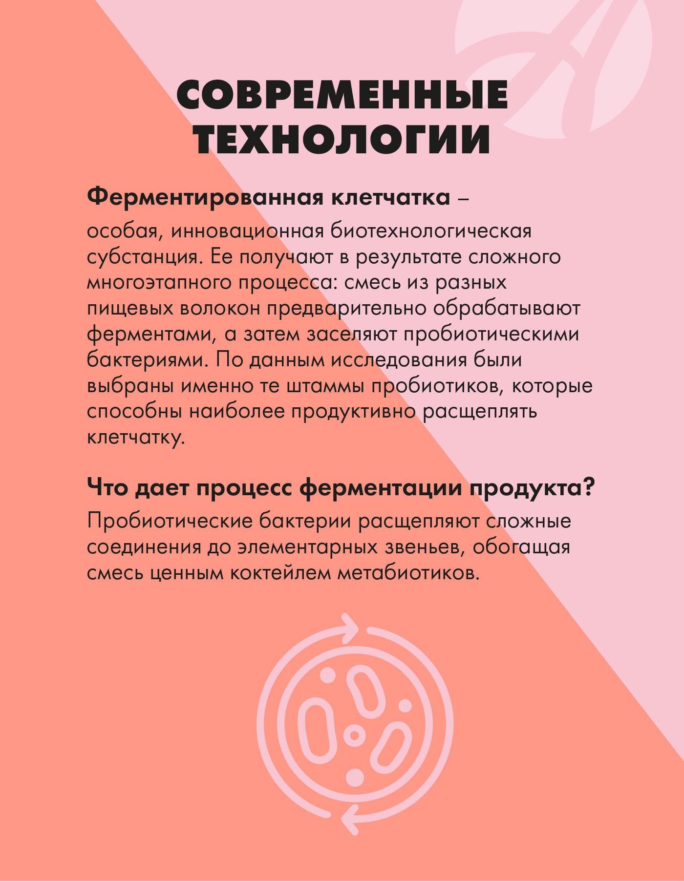 БАД Арт Лайф Виталити Фуд Пробио селекшн Клетчатка и метабиотики - фото 6
