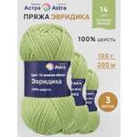 Пряжа Astra Premium Эвридика шерстяная 100 г 200 м 14 зеленое яблоко 3 мотка