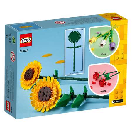 Конструктор LEGO Botanicals блочный