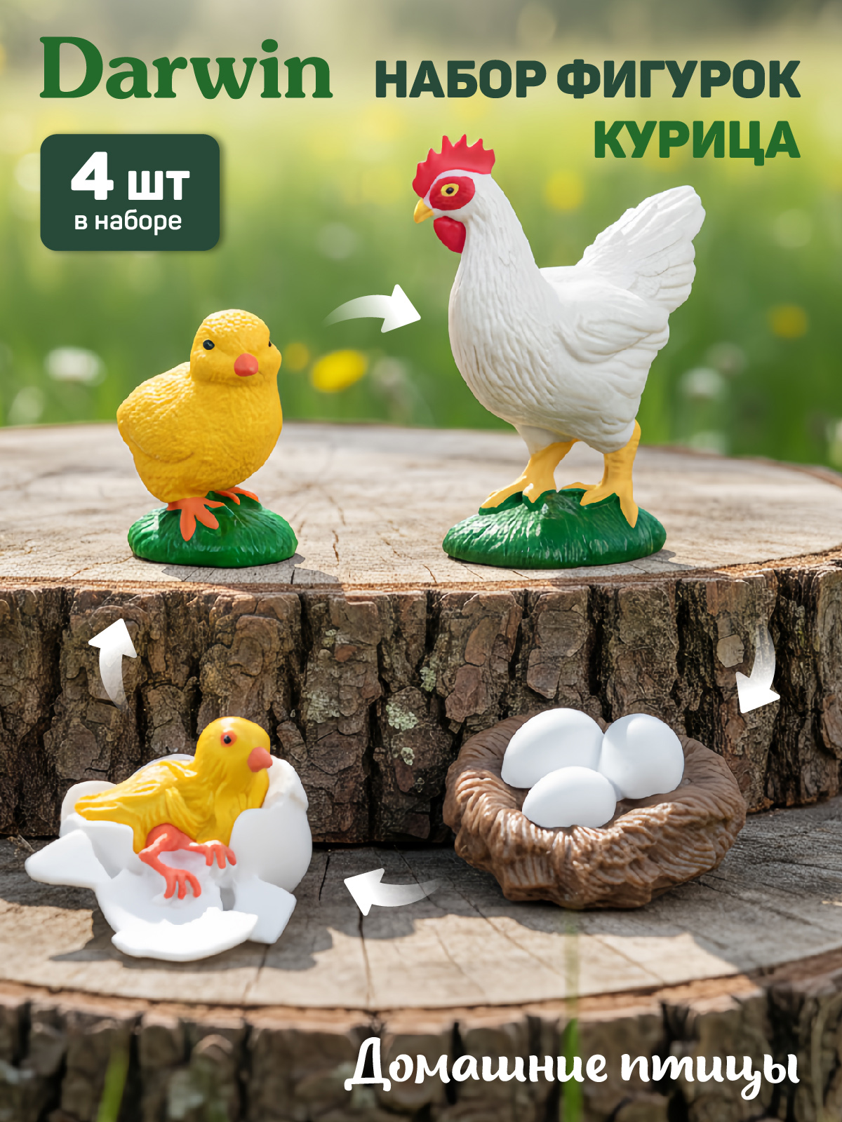 Игровой набор DARWIN Животные Курица - фото 1