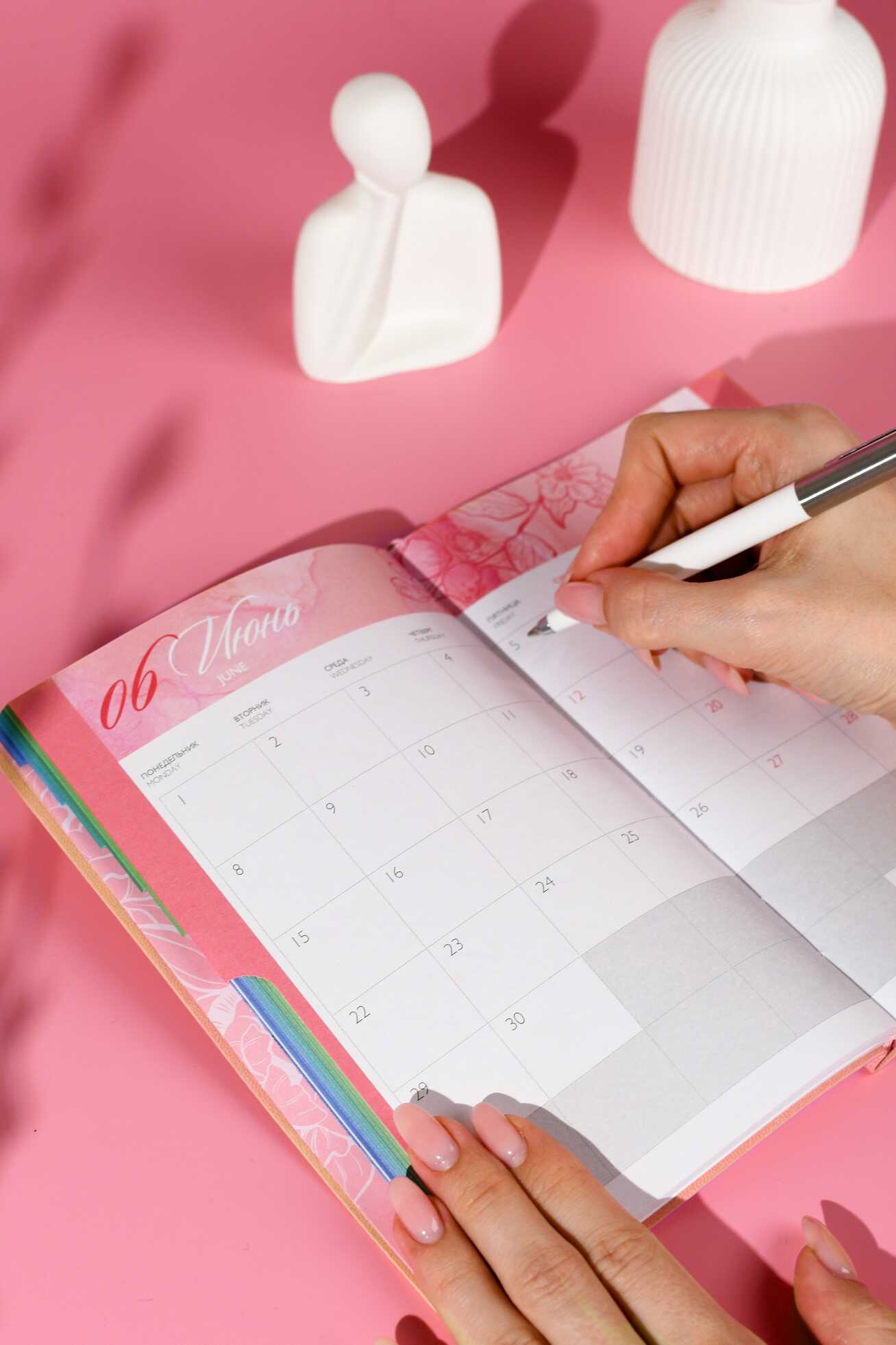 Ежедневник Феникс + ESCALADA 96 лист. - фото 14