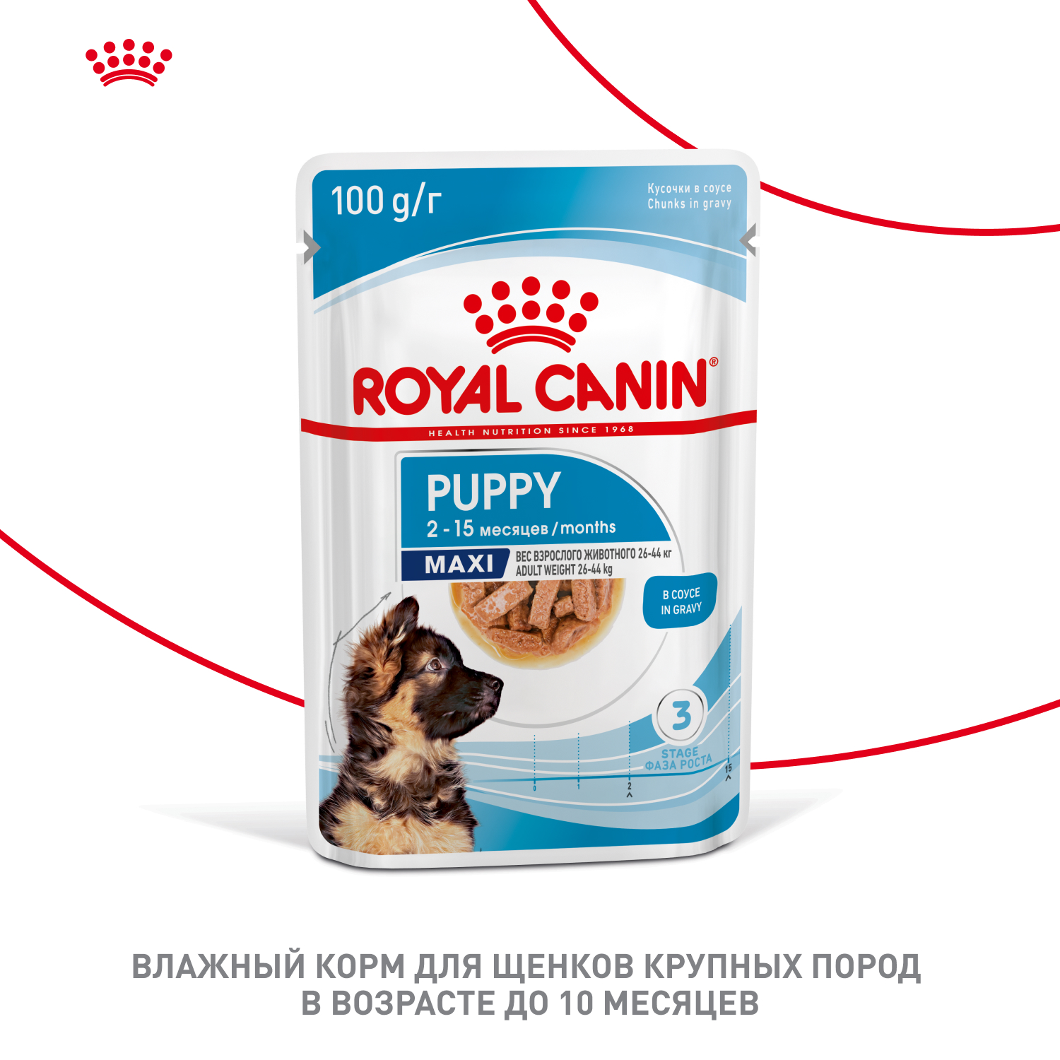 Корм для щенков влажный ROYAL CANIN Maxi Puppy для крупных пород в возрасте до 15 месяцев соус 100г - фото 11