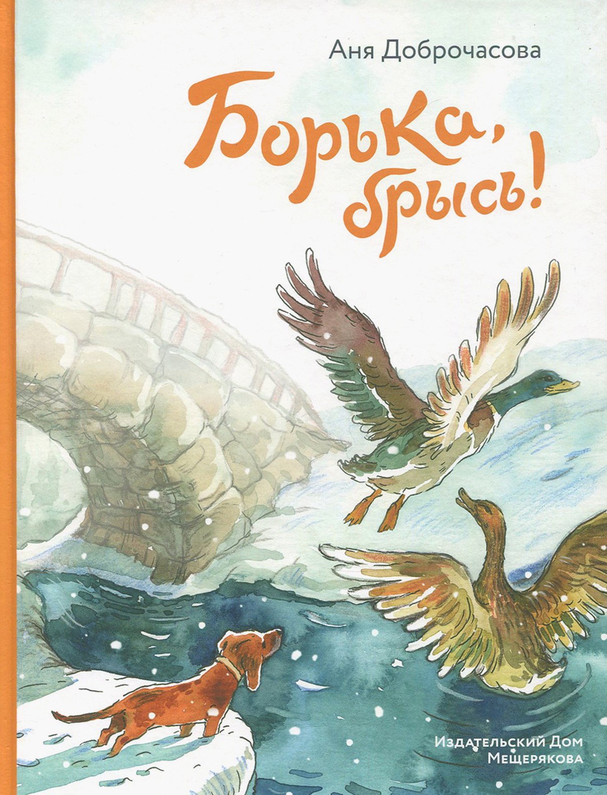 Книга Стрекозa Борька брысь! - фото 1