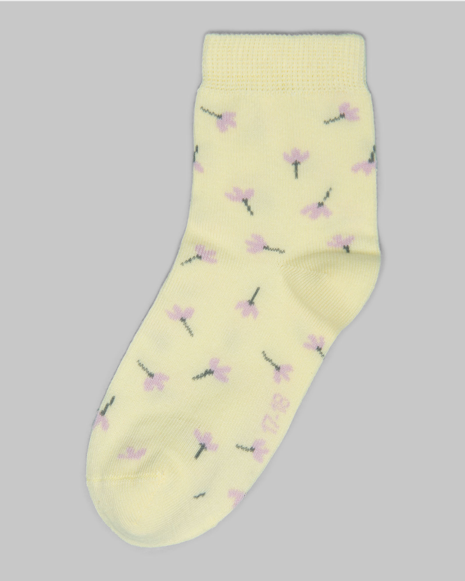 Носки 3 пары Futurino S24FU2-Д5-583kg-43 - фото 3