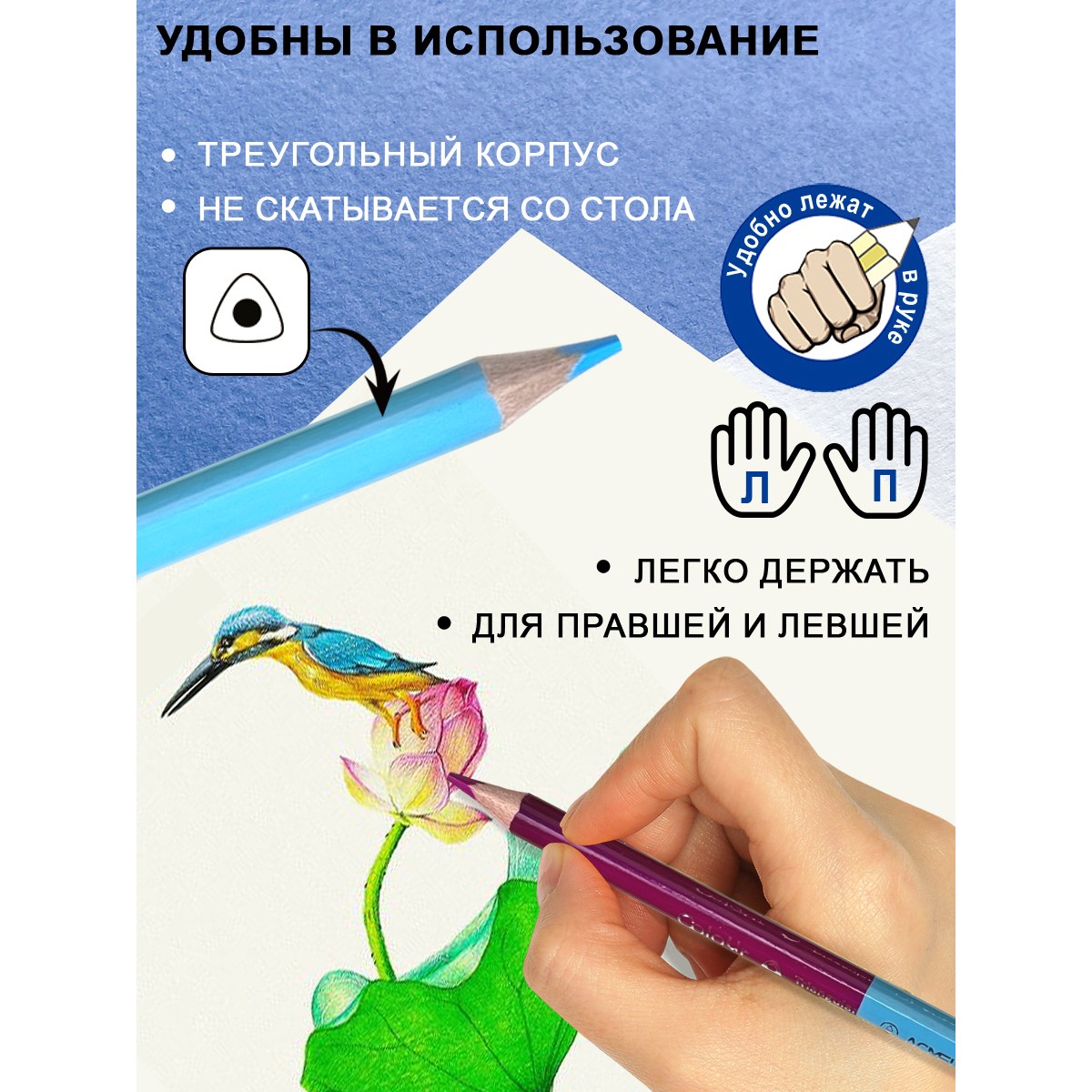Карандаши цветные ACMELIAE 24 шт. - фото 10