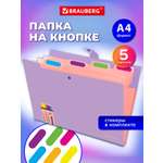 Папка-органайзер Brauberg А4