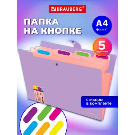 Папка-органайзер Brauberg А4