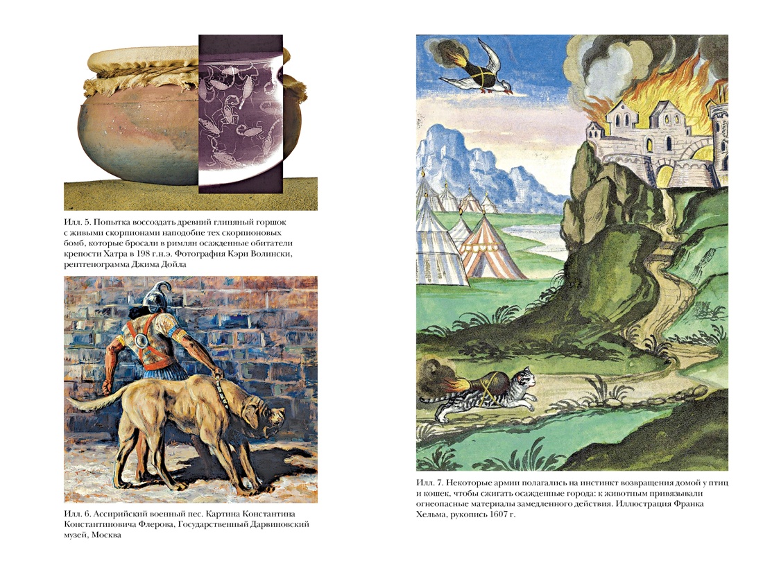 Книга КОЛИБРИ Занимательная Античность. Комплект из 2-х книг и набора открыток - фото 6