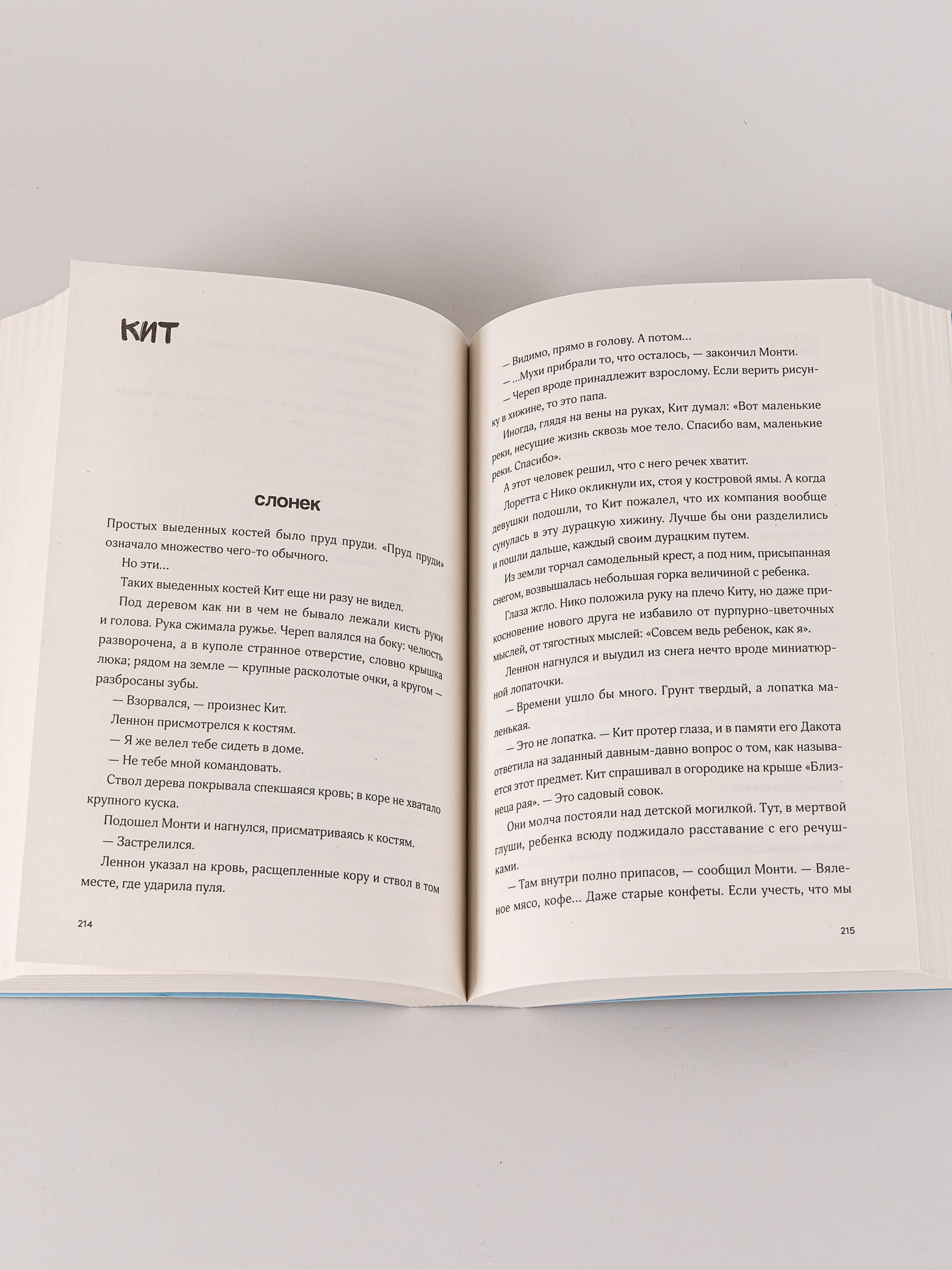 Книга Marshmallow Books Электрическое королевство - фото 4