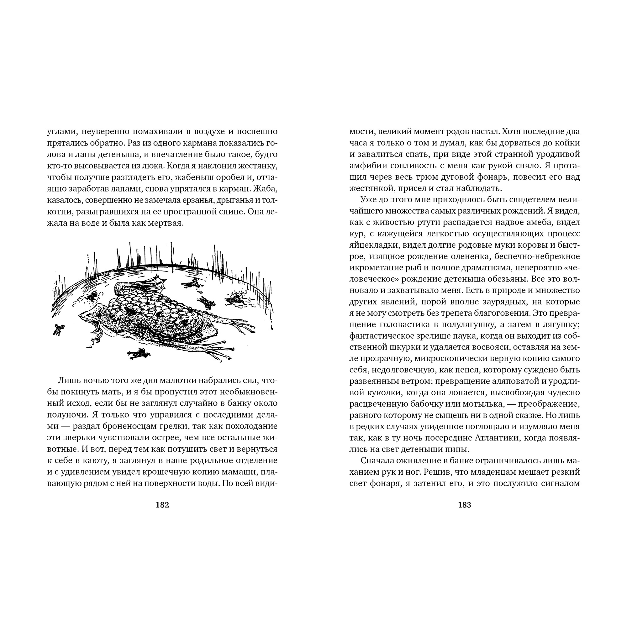 Книга АЗБУКА Три билета до Эдвенчер. Под пологом пьяного леса - фото 9