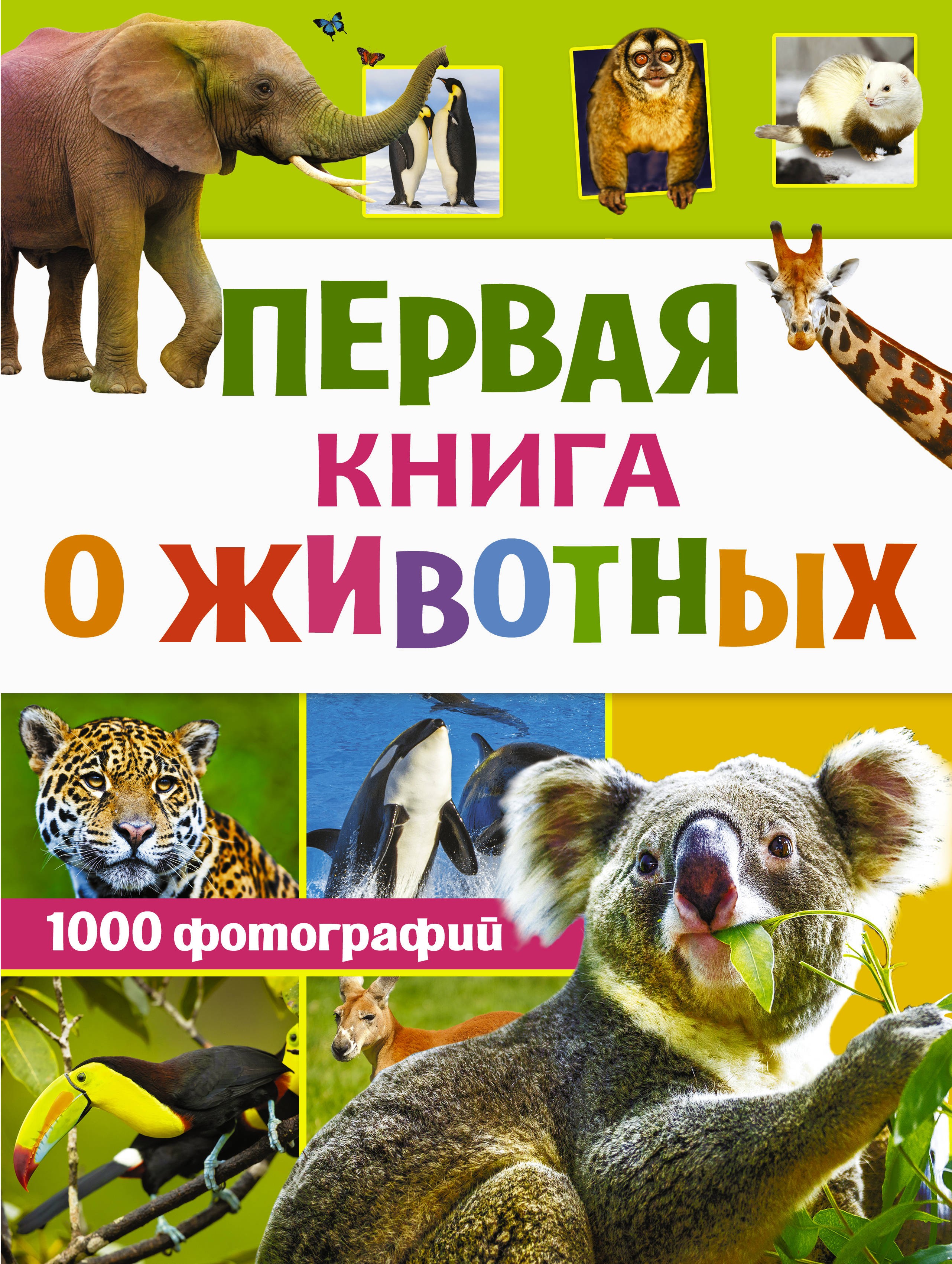 Книга Аванта Первая книга о животных 1000 фотографий - фото 1