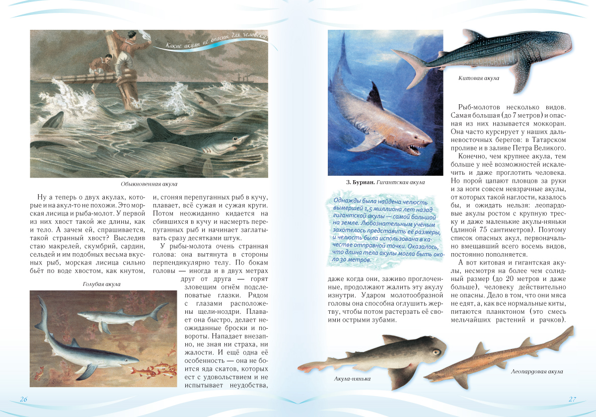 Книга Белый город Русский учебник - фото 7