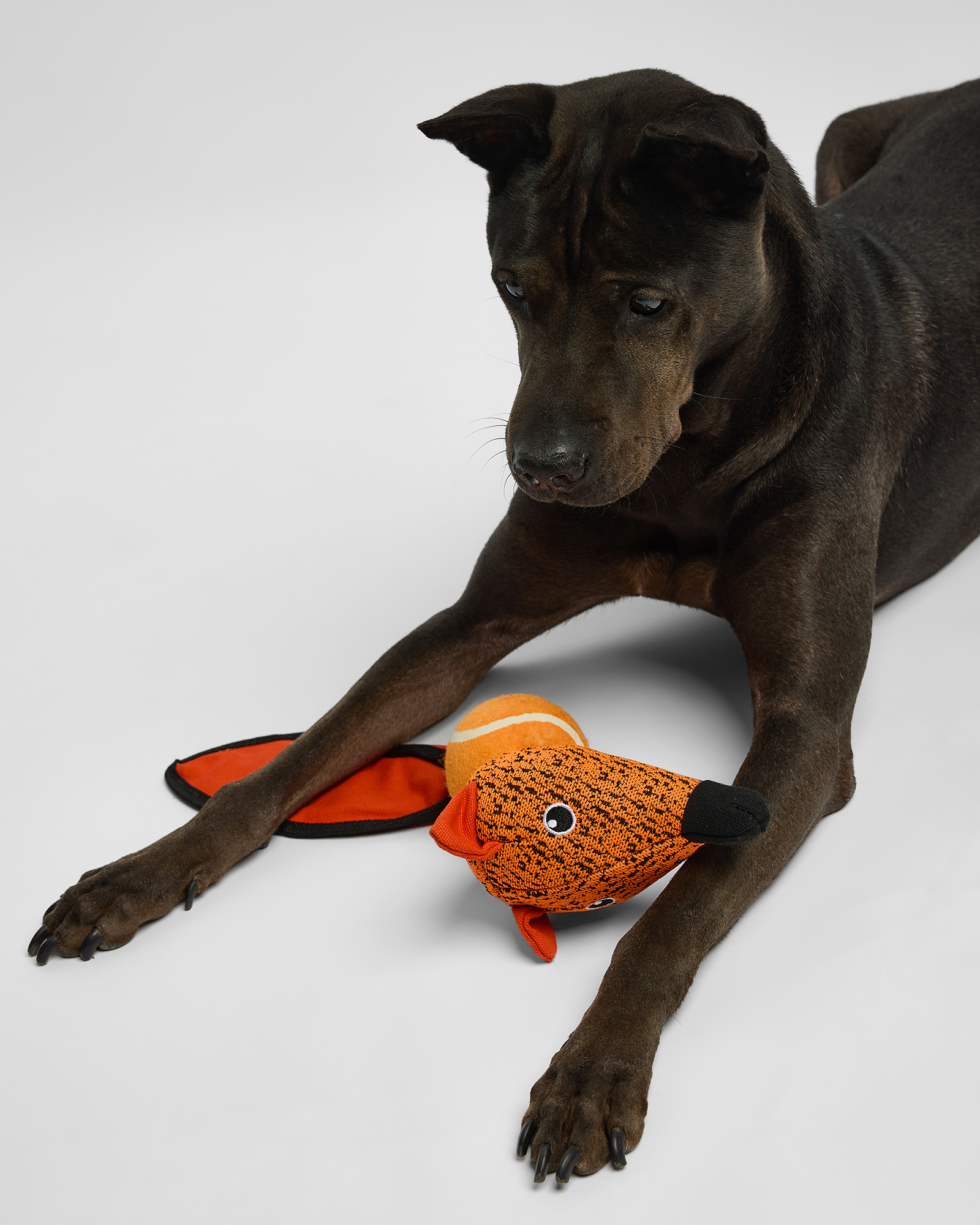 Игрушка для собак Barbaks Лиса с теннисным мячиком шуршит пищит 43*15 см - фото 5