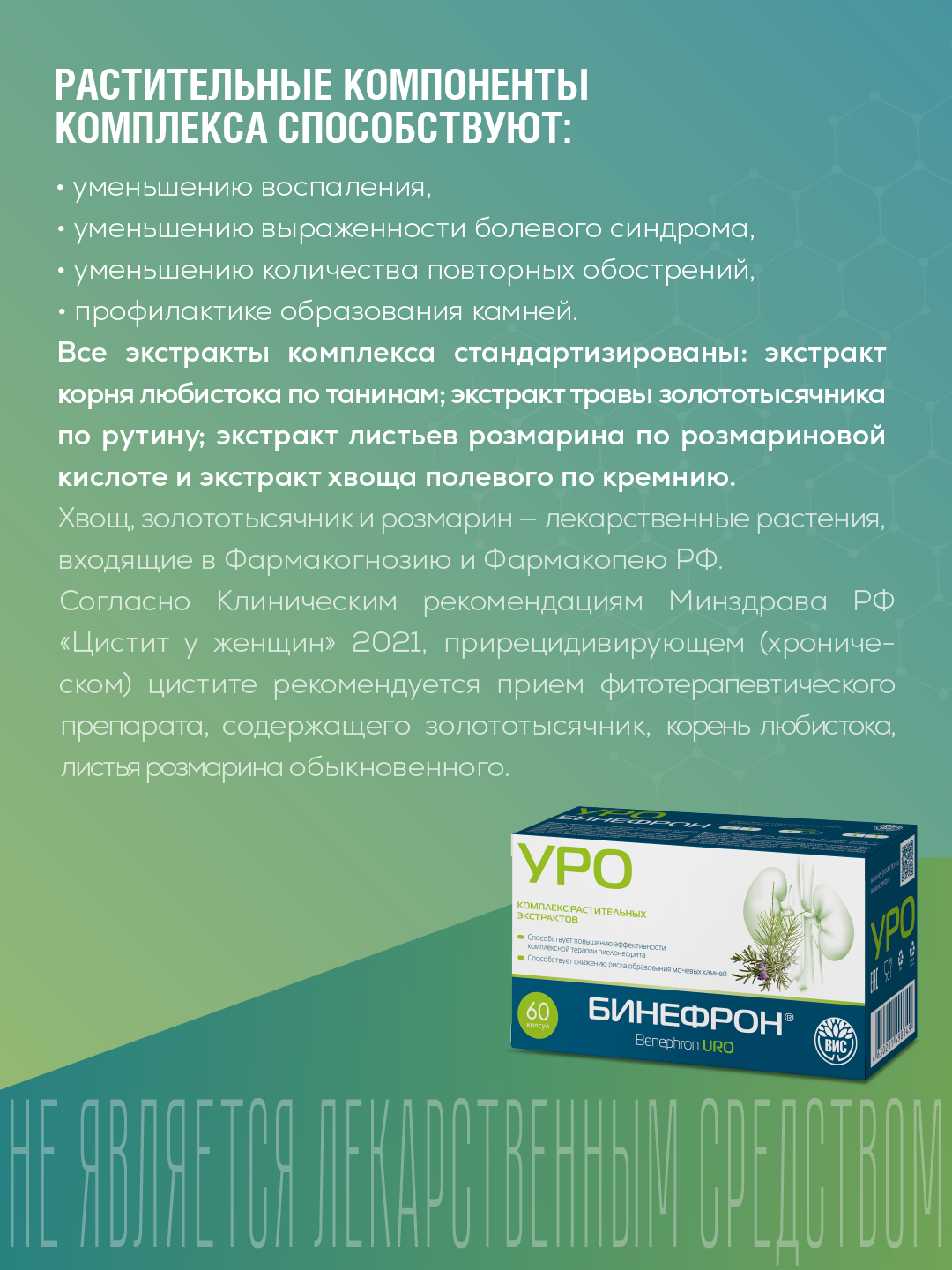 БАД ВИС Бинефрон УРО капсулы №60 - фото 3