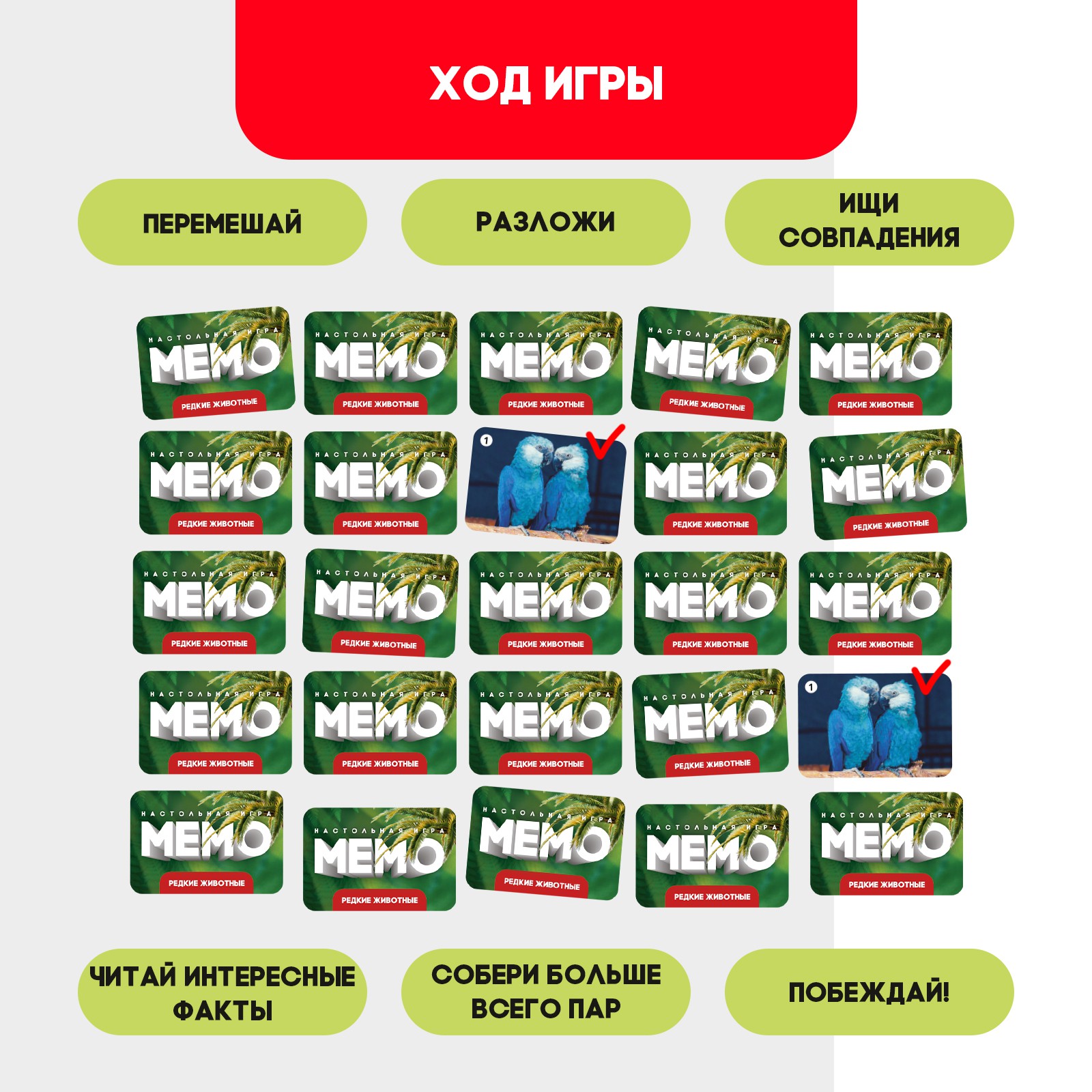 Настольная игра Лас Играс KIDS Мемо - фото 3