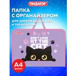 Папка для тетрадей Пифагор А4