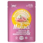 Корм для котят Molina цыпленок в желе пауч 70г