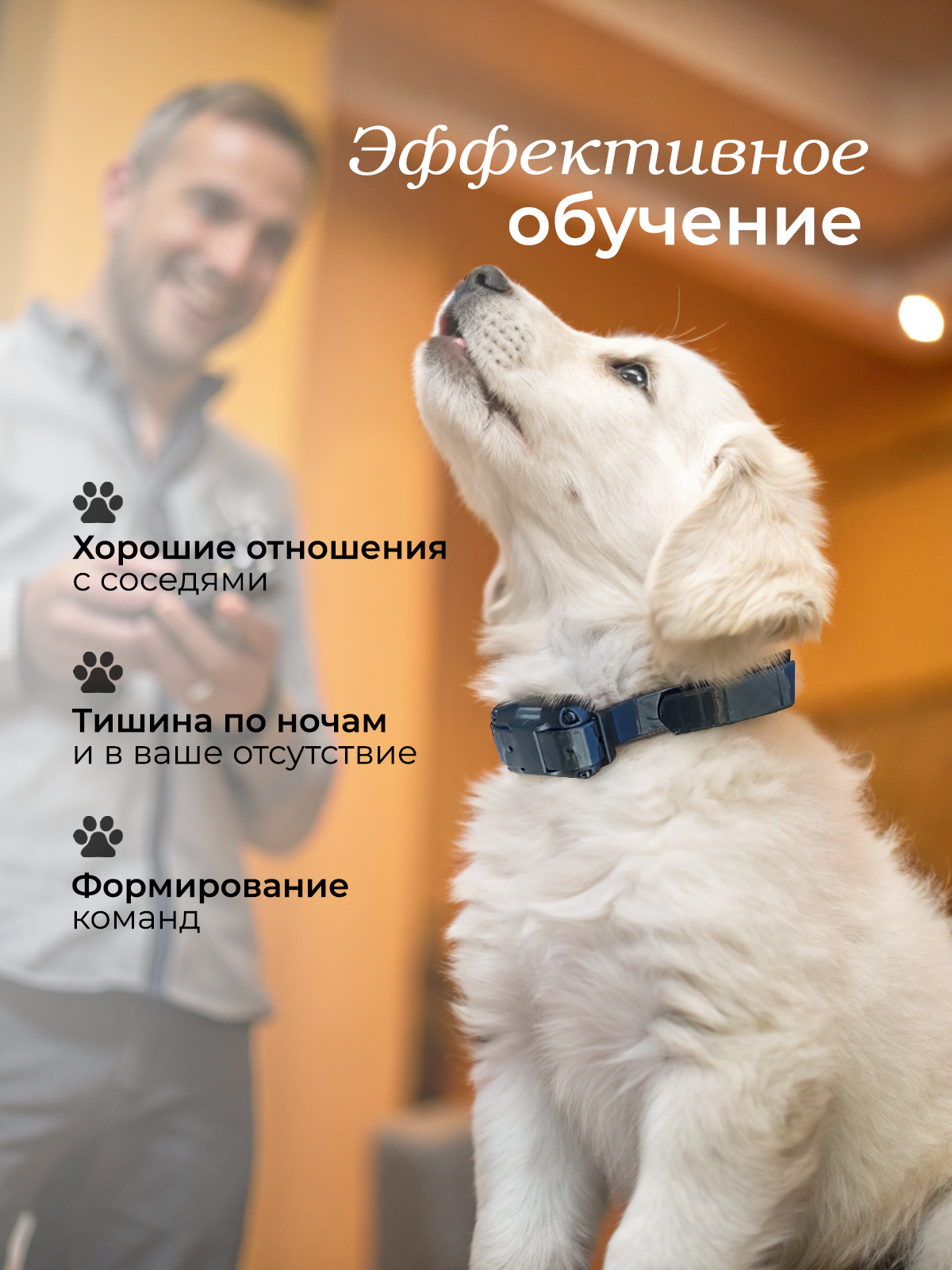 Ошейник для собак SuperPets электронный дрессировочный - фото 2