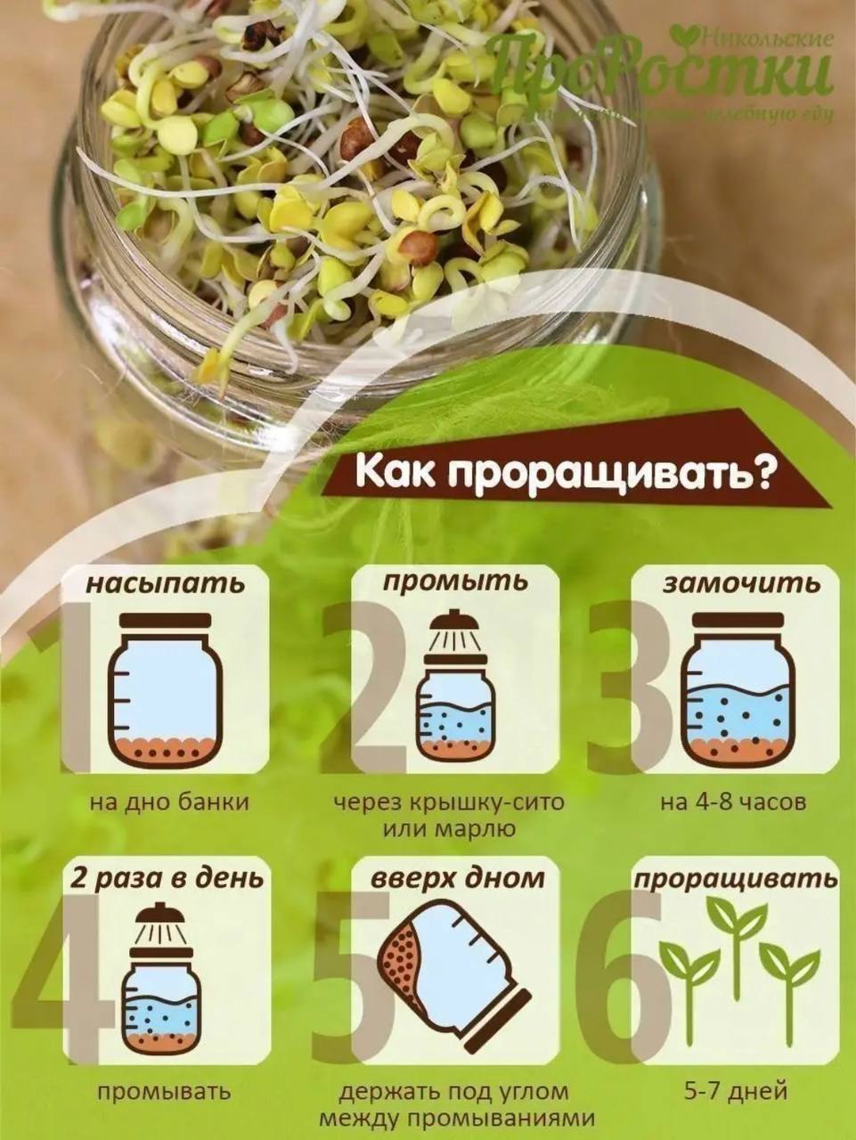 Семена для микрозелени Никольские ПроРостки люцерна, красный клевер, пажитник, кунжут, горчица - фото 4