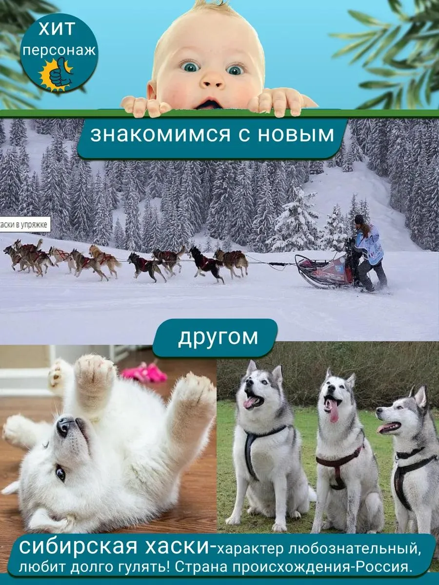 Мягкая игрушка FAVORITSTAR DESIGN Хаски - фото 8