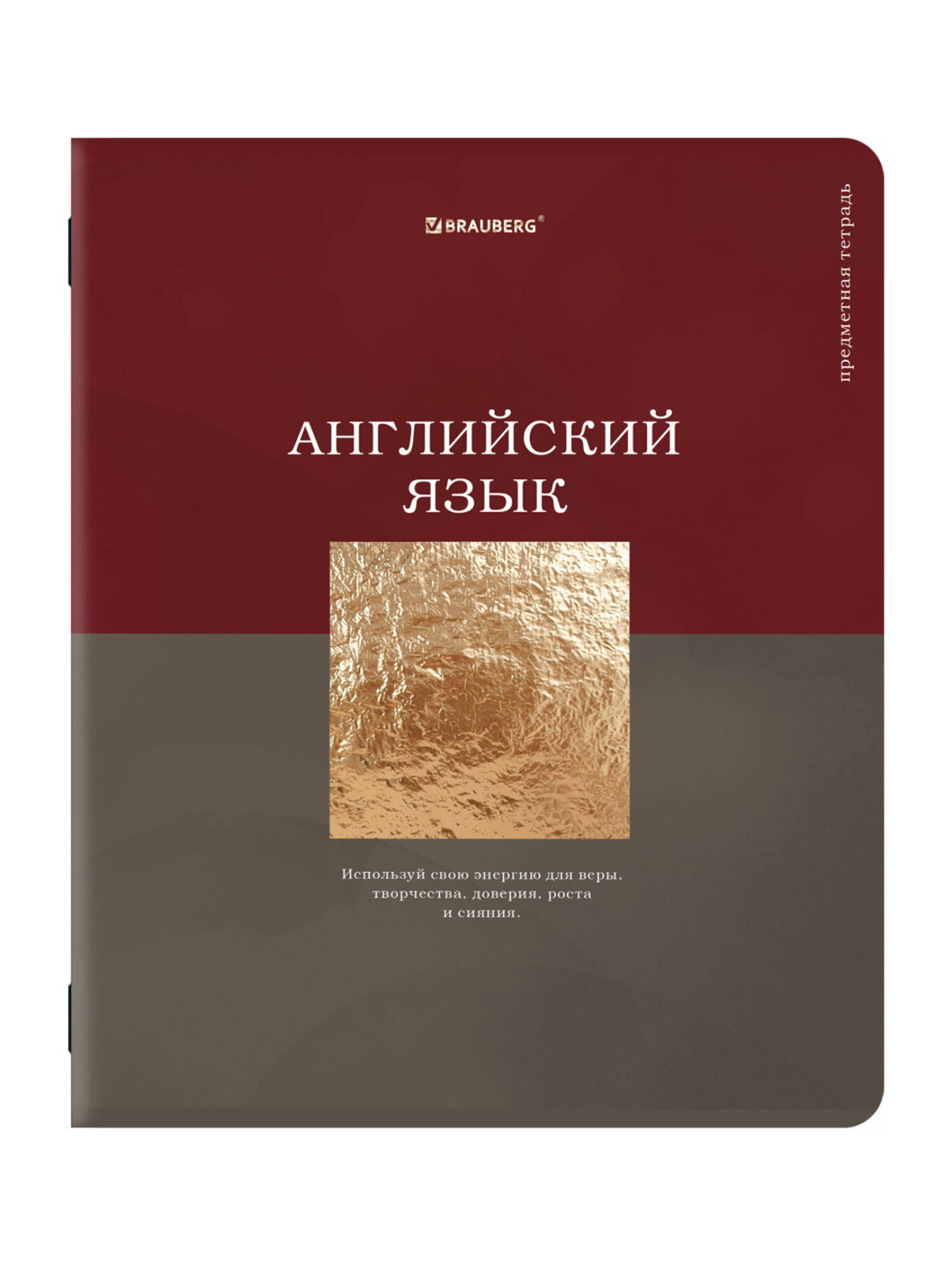 Тетрадь Brauberg 48 лист. 12 шт. - фото 21