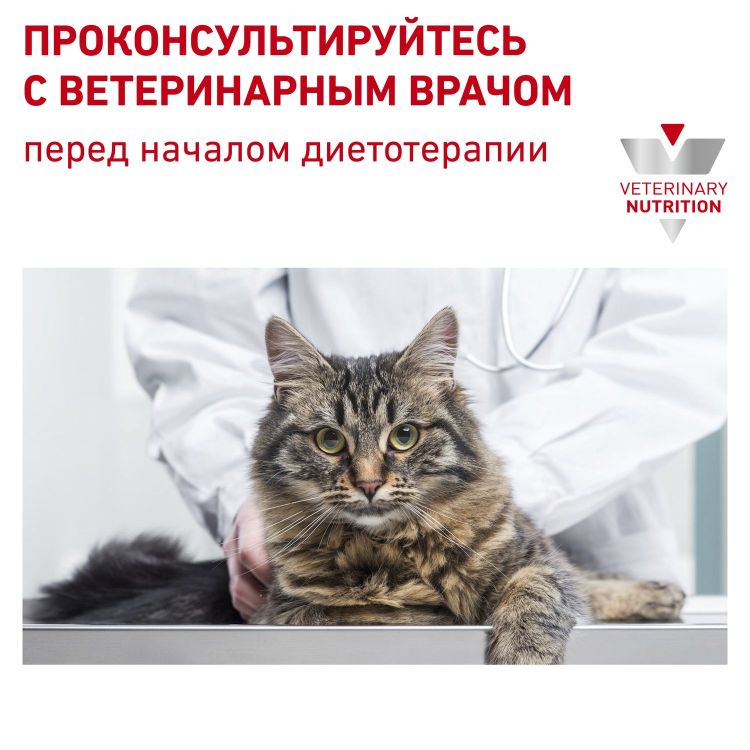 Корм для кошек ROYAL CANIN Renal Select с хронической почечной недостаточностью 0.4кг - фото 9