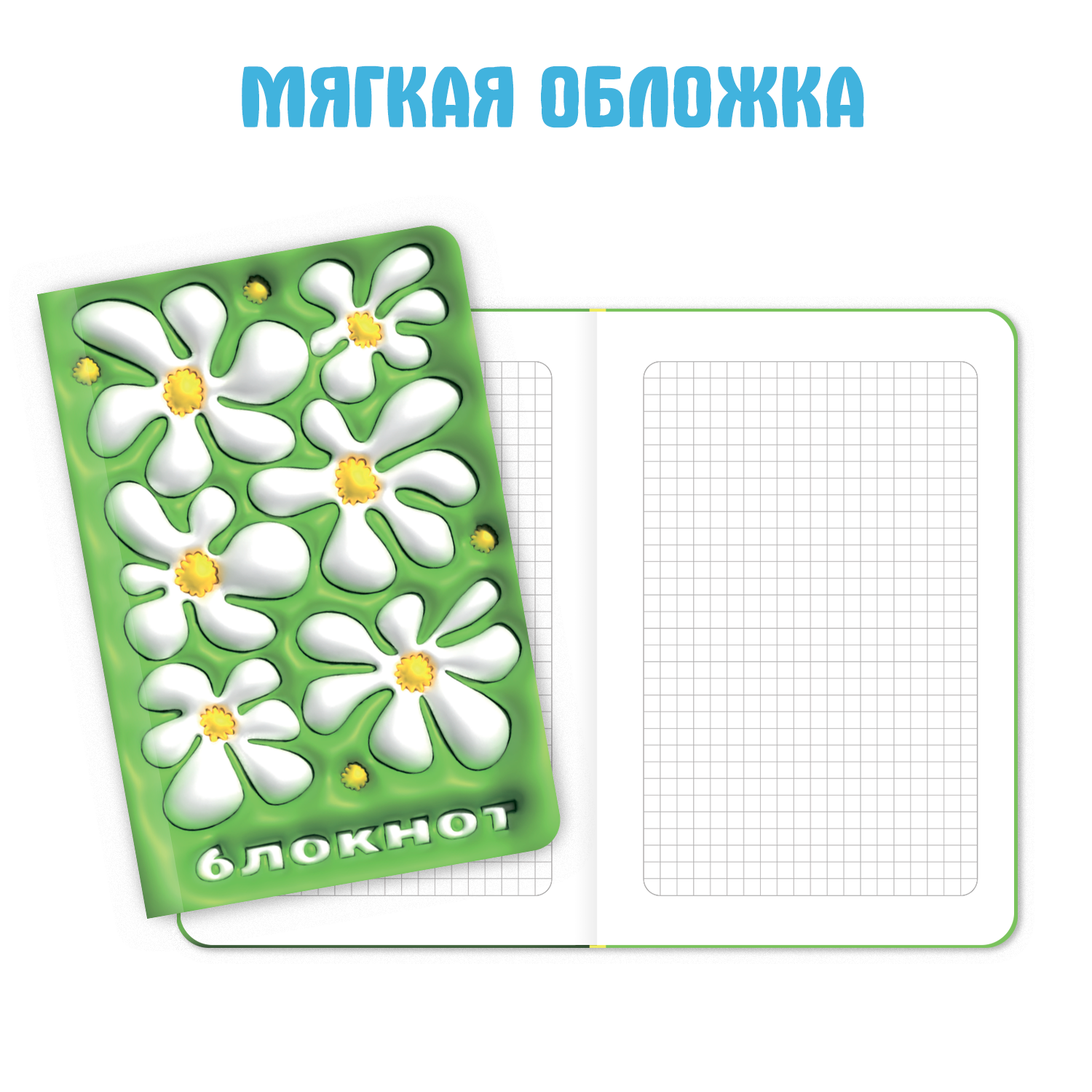 Блокнот Проф-Пресс в клетку Дутыши 12х18 см. 64 лист. - фото 3