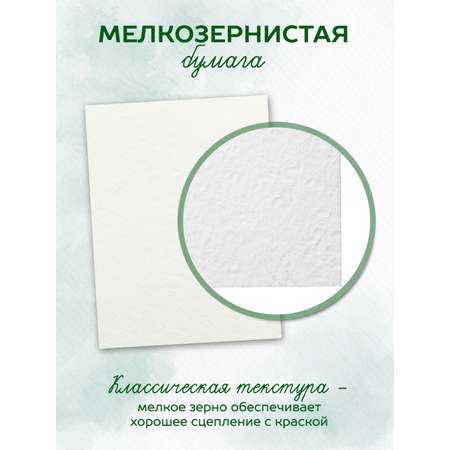 Художественная бумага, бумага для черчения SCHOOLFORMAT для графики 20 лист.