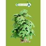 Фигурка Collecta Гинкго билоба