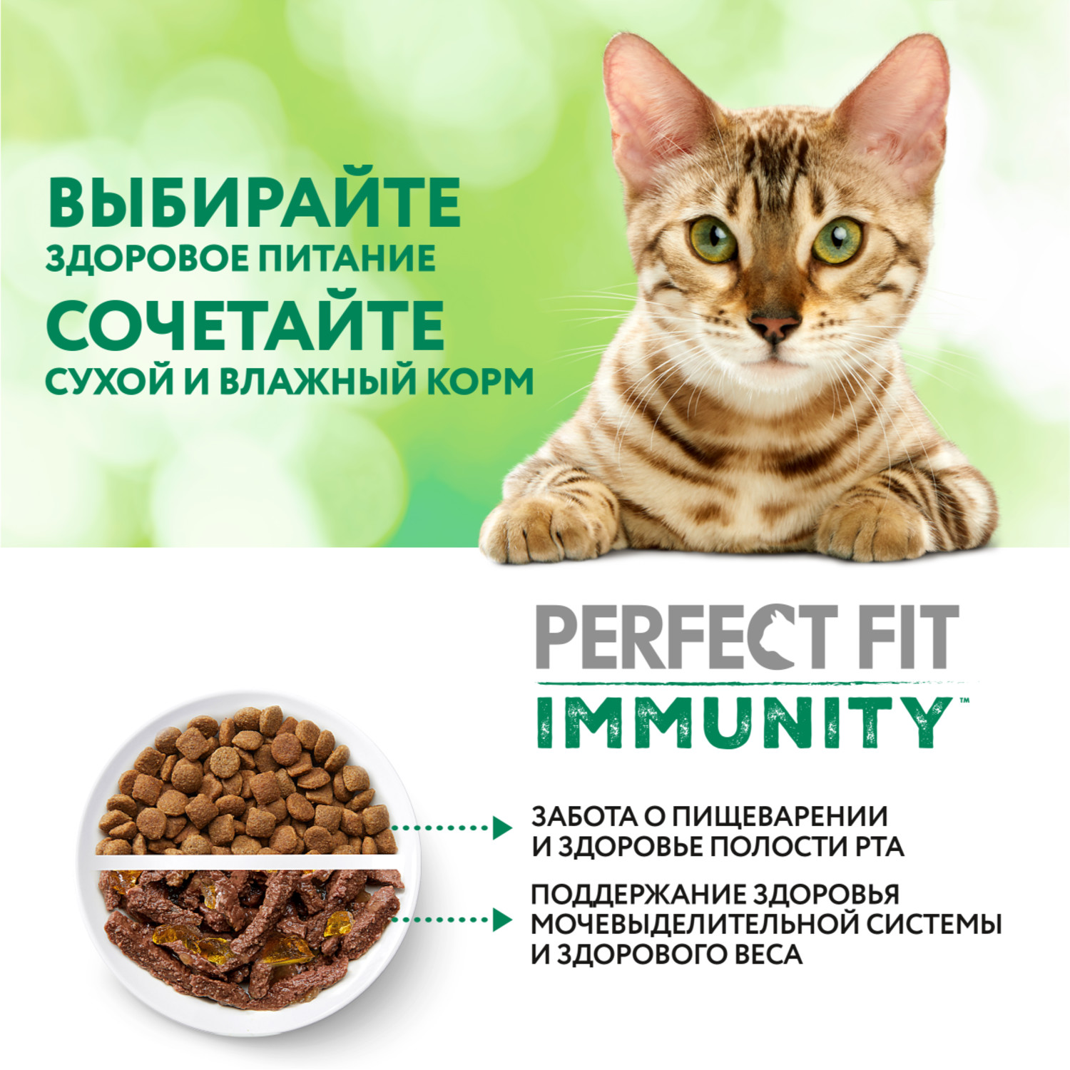 Корм для кошек Perfect Fit 580г Immunity для поддержания иммунитета говядина-семена льна-голубика сухой - фото 11