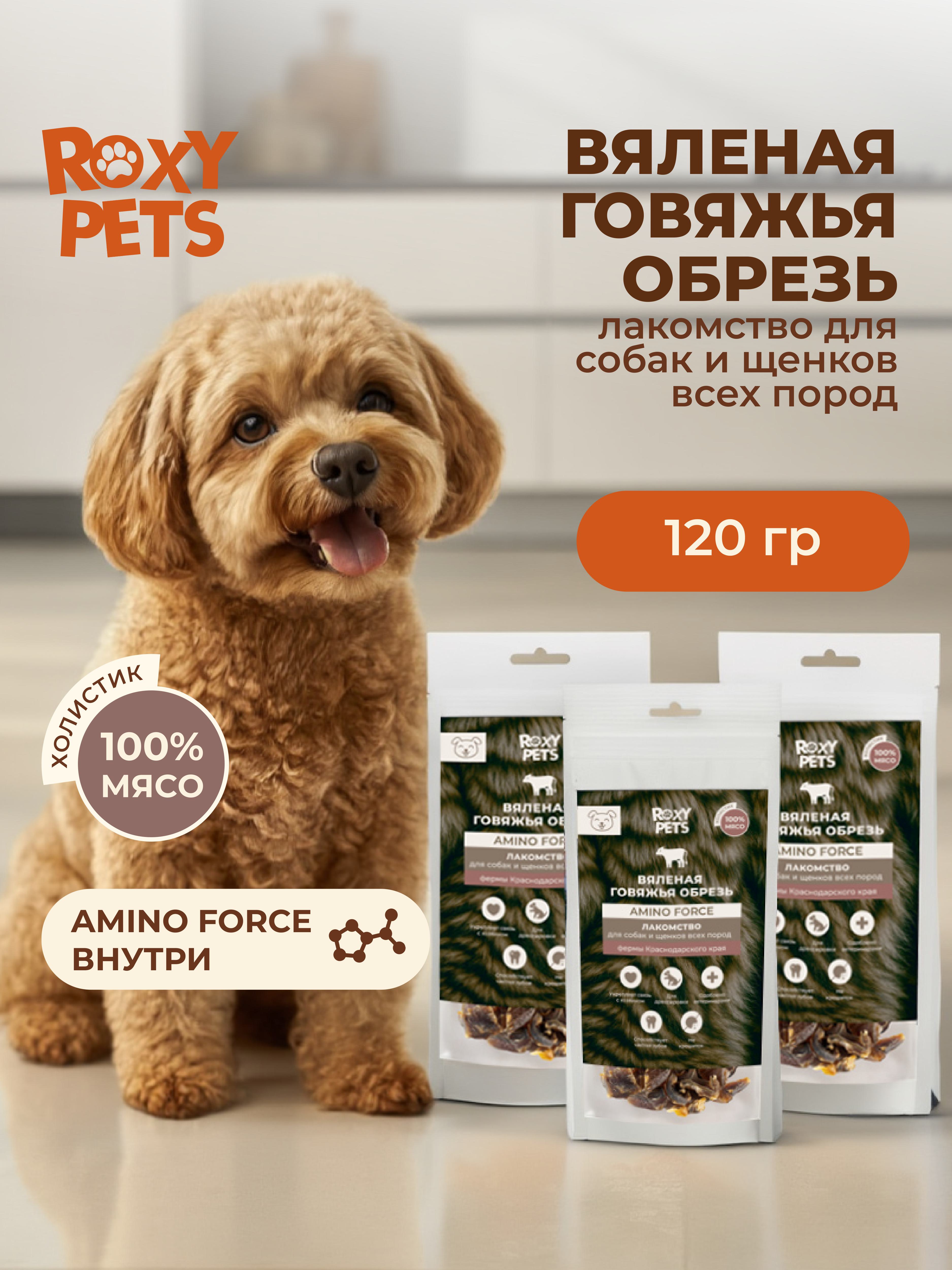 Лакомства для собак и щенков всех пород ROXY PETS из вяленой говяжьей обрези - фото 1