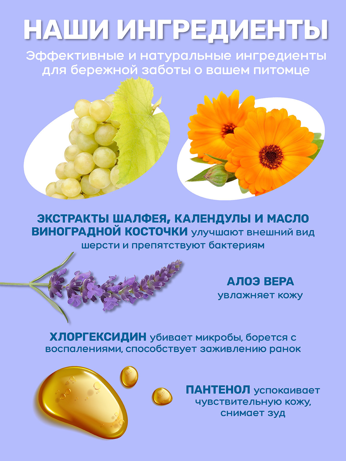 Спрей для лап ZOORIK антибактериальный 250 мл - фото 6