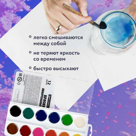 Краски акварель Brauberg 12 цв.