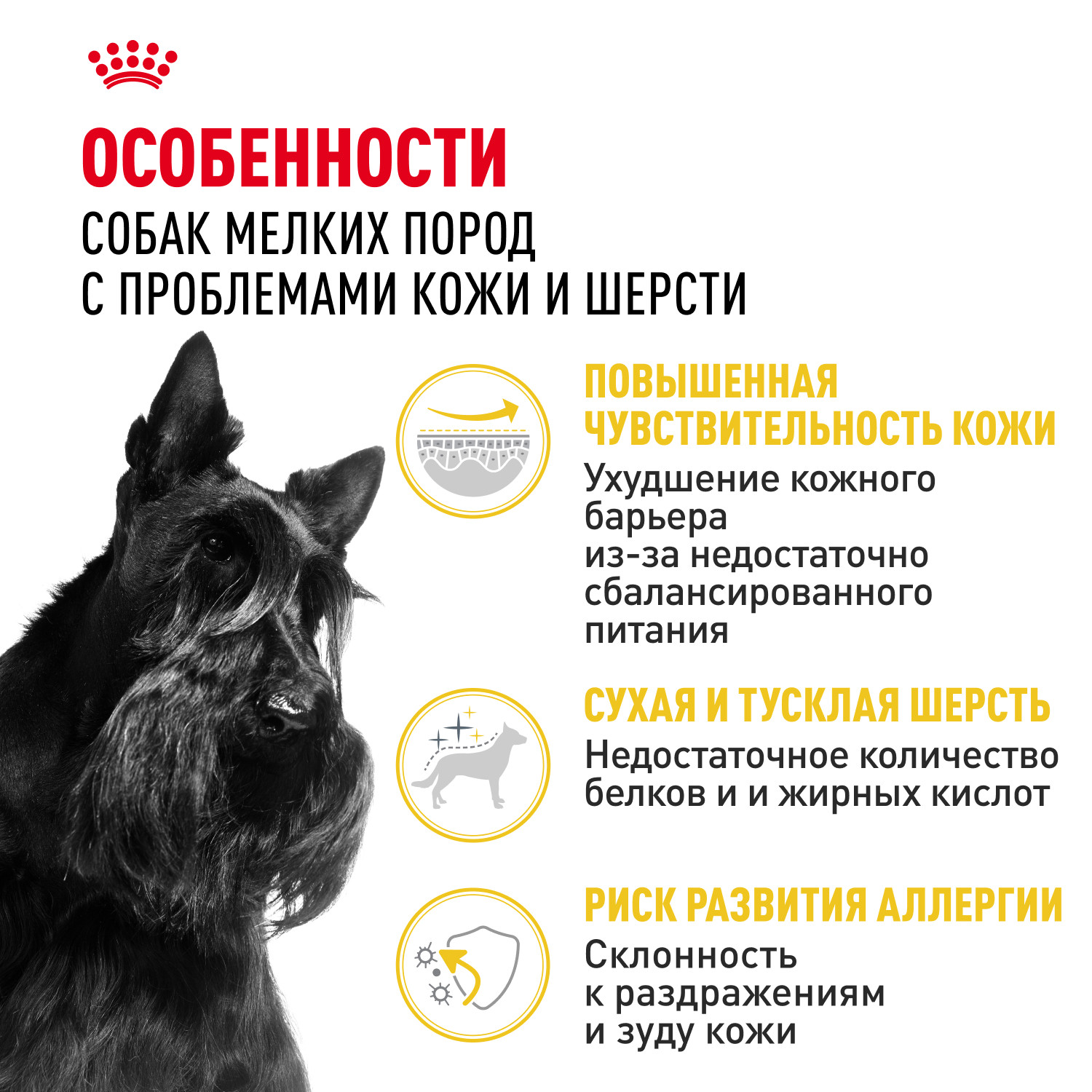Корм для собак ROYAL CANIN Mini Dermacomfort при раздраженной и зудящей коже 1кг - фото 2