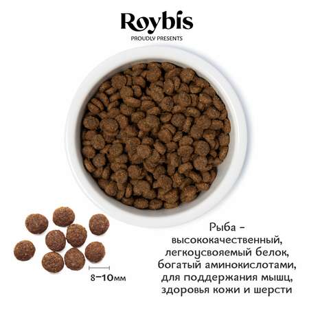 Корм для кошек Roybis 4кг с лососем и форелью полнорационный с чувствительным пищеварением