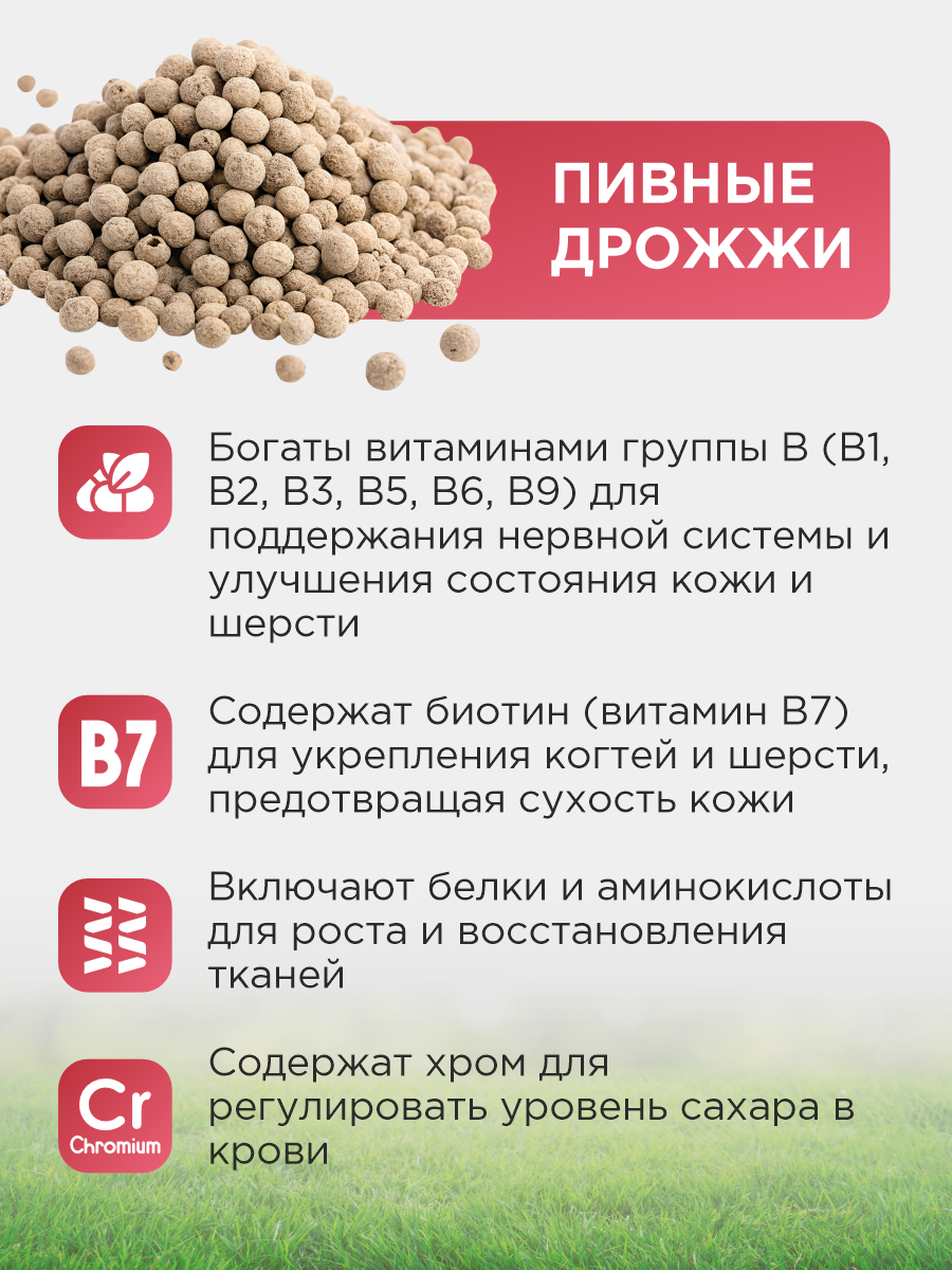 Витамины для кошек и собак GOODR HEALTH BREWER'S для кожи и шерсти 120 таб. - фото 5