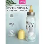 Бутылочка Lubby 250 мл