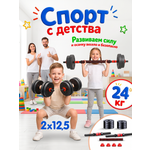 Набор блинов с грифом БлинДаГриф 12,5кг 2шт