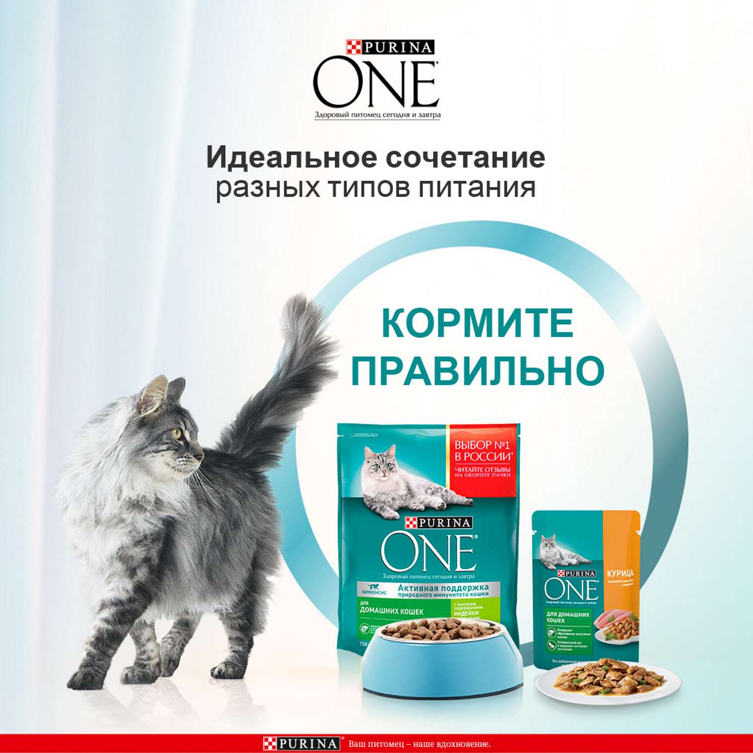 Корм для кошек Purina One домашняя курица-морковь 75г - фото 5