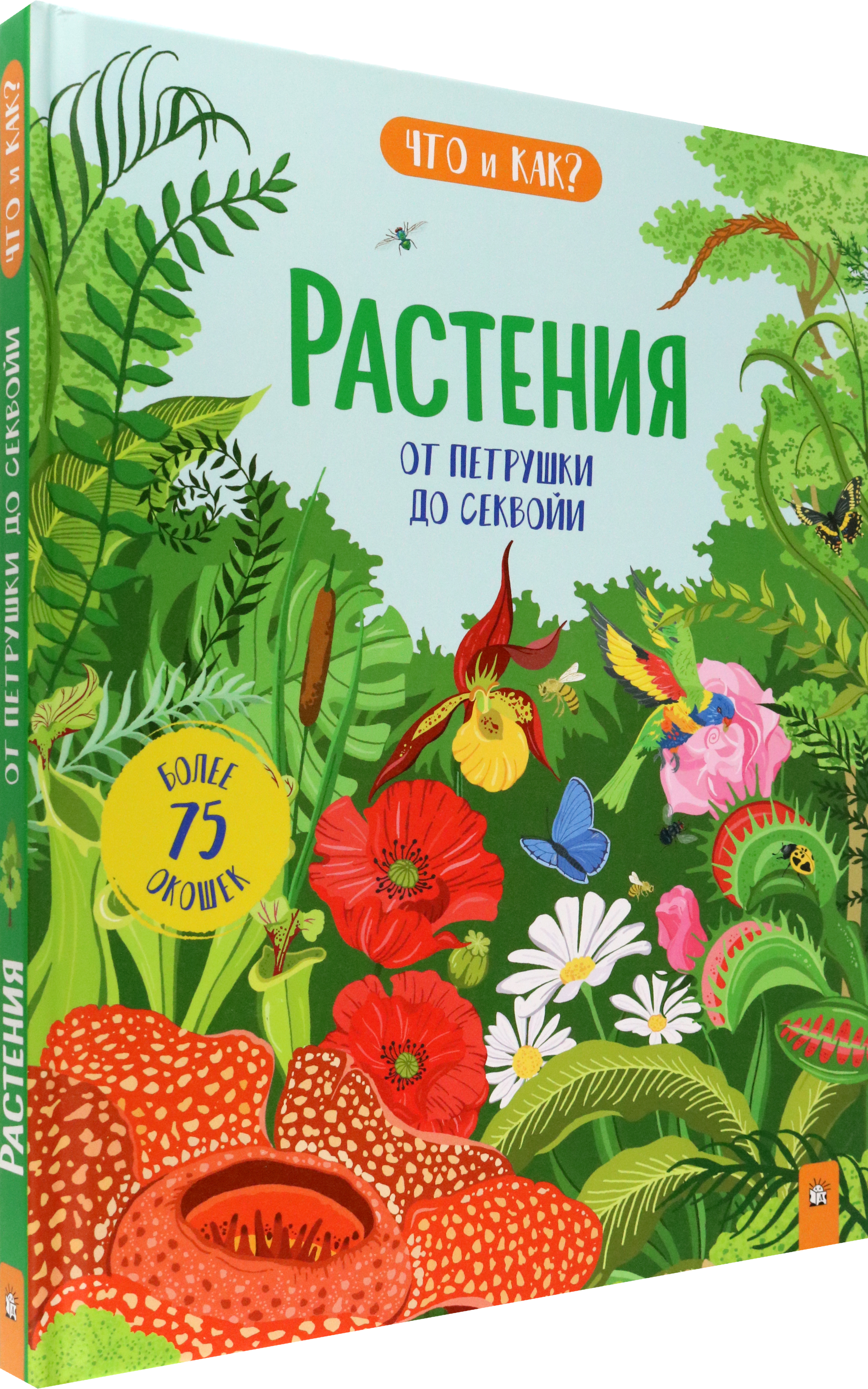 Книга Лабиринт Растения. От петрушки до секвойи - фото 2