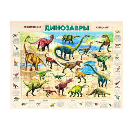 Пазл Рыжий кот
