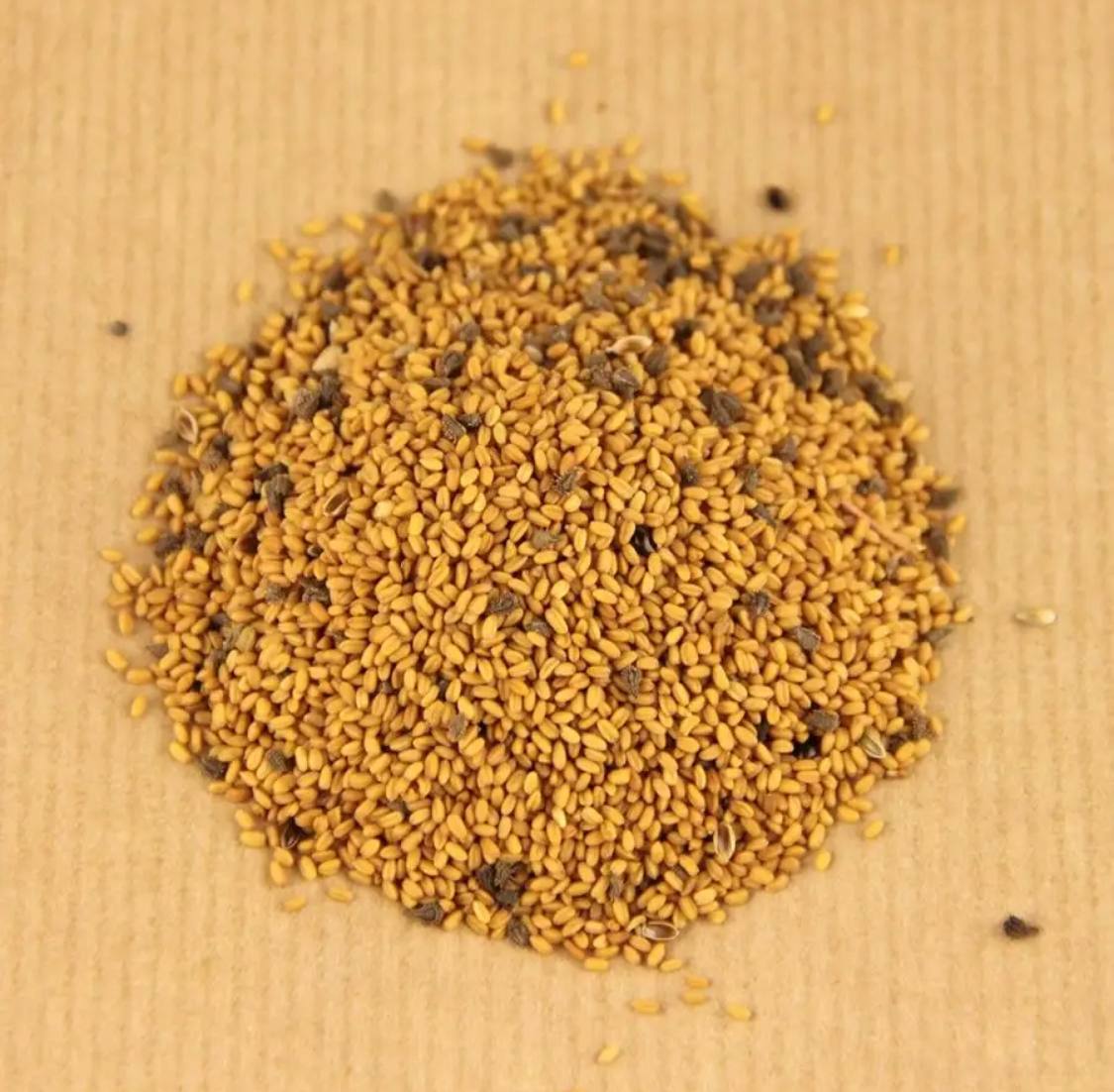 Семена для микрозелени MegaMedia рыжик - фото 2