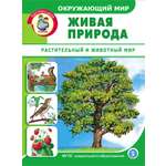 Книга Школьная Книга Окружающий мир. Живая природа. Растительный и животный мир.