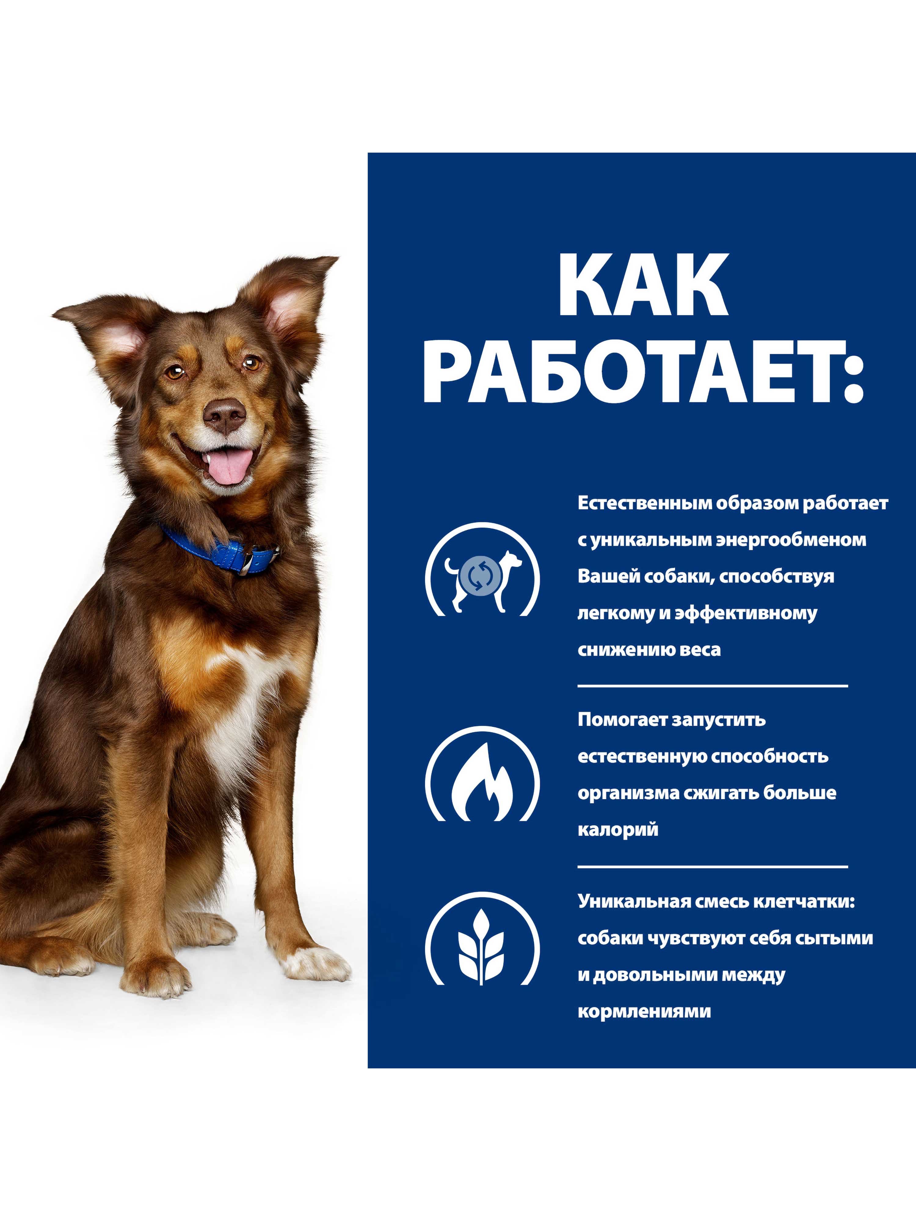 Корм для собак Hills 370г Prescription Diet Metabolic диетический для снижения и контроля веса с курицей консервы - фото 3
