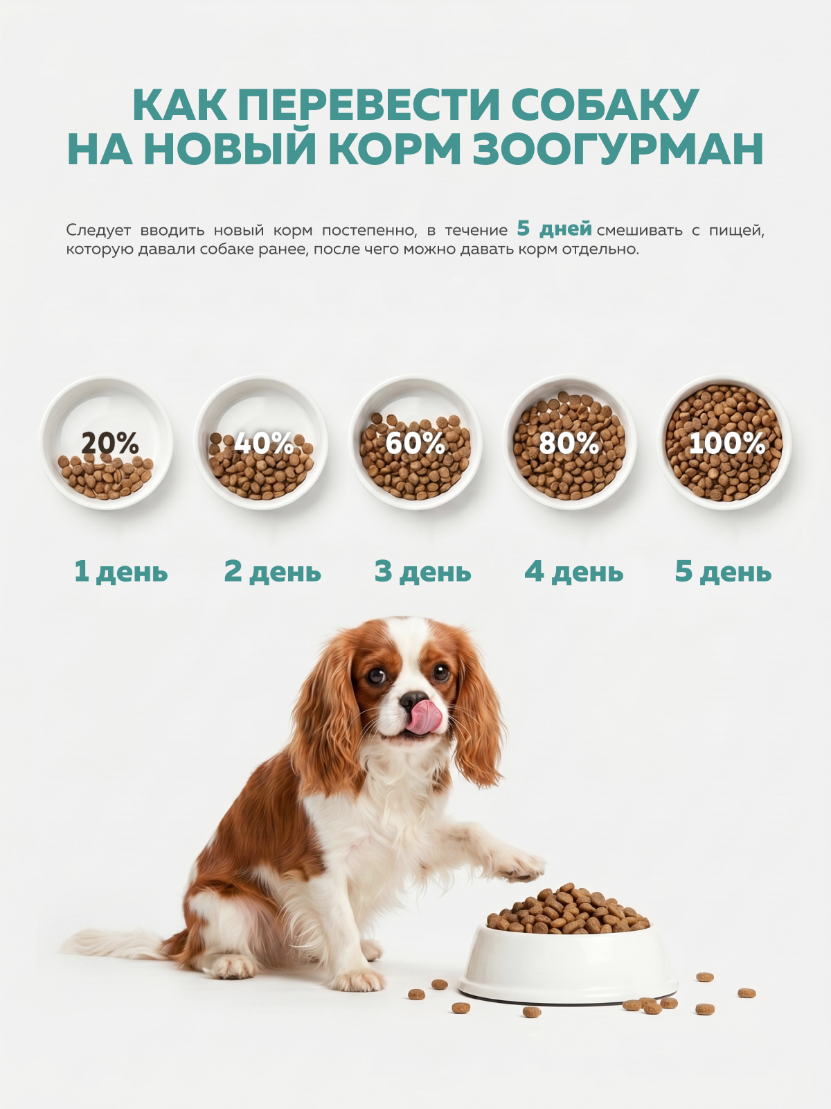 Корм сухой Зоогурман Urban life индейка 1,2 кг - фото 6